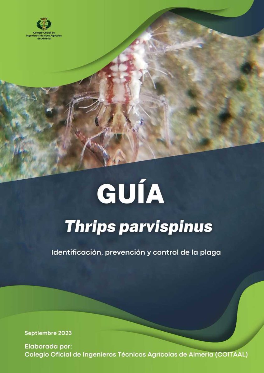 ConsejoAgricola's tweet image. 🟢El @coitaal presenta una guía para identificar, prevenir y controlar el &apos;#Thrips parvispinus&apos; en el cultivo de #pimiento

💡 Gran iniciativa por su valor divulgativo.

👌 Ingenieros Agrícolas, asesores del #mediorural

→ agricolas.org/noticias-coleg…

#IngenieríaAgrícola
