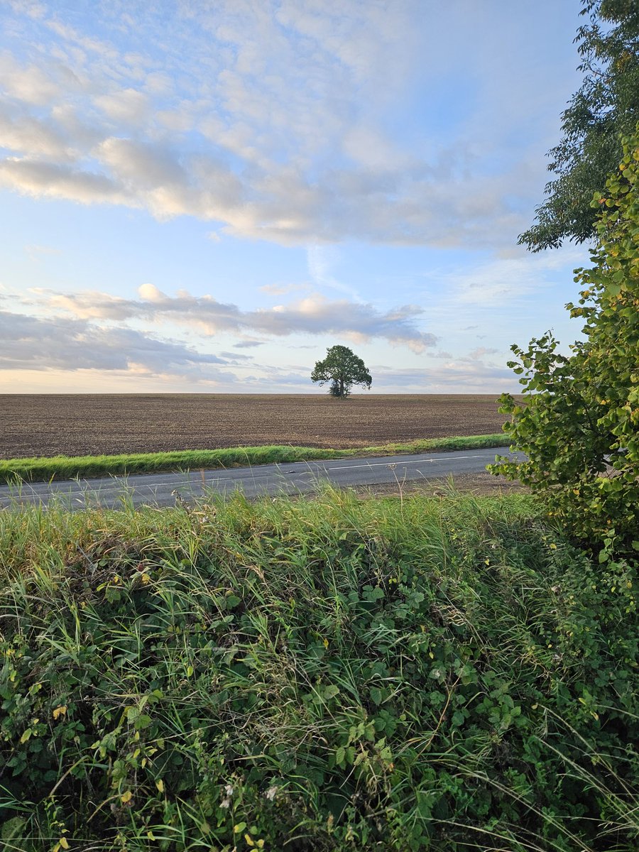 Emily Stronach Walker tweet media