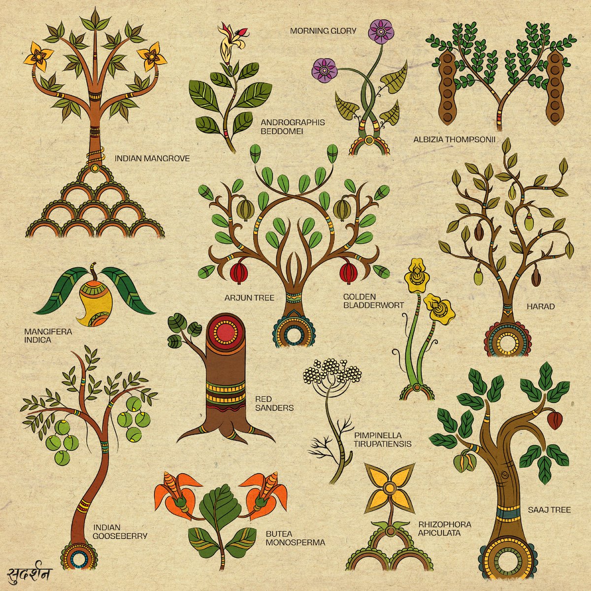 Some flora species from the Biodiversity Map of Andhra Pradesh inspired from the techniques and forms of Srikalahashti style of Kalamkari- a popular, beloved and age-old traditional art of Andhra Pradesh.  

#folkindica #andhrapradesh #flora #studiokyaari