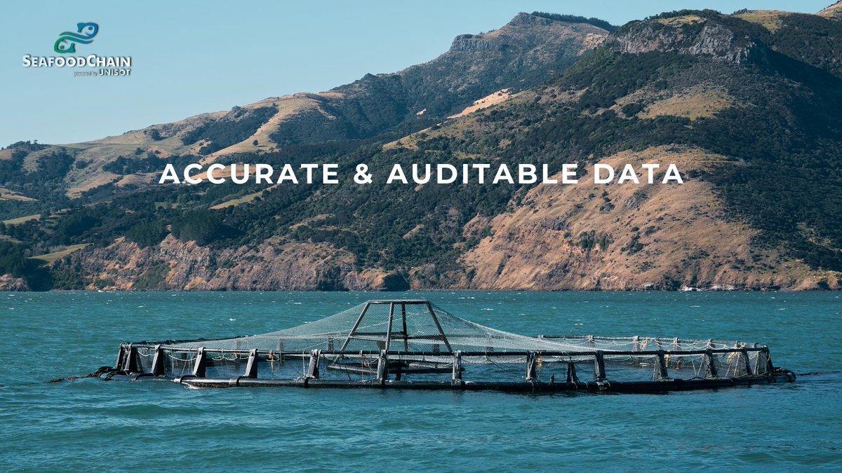 By ensuring accurate and auditable data, seafood companies can demonstrate their commitment to sustainable fishing practices, environmental conservation and responsible supply chain management.

#seafood #sustainablefishing #supplychainmanagement