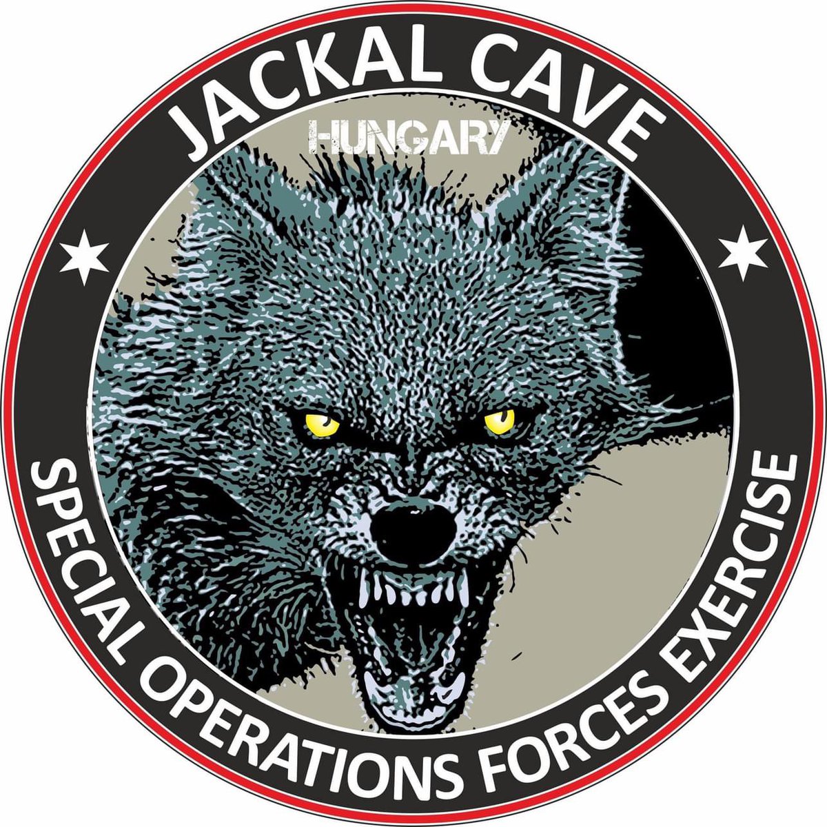 NATO_SOF's tweet photo. JACKAL CAVE 2023, a multinational SOF exercise, kicked off in 🇭🇺 Hungary this week. Follow us for more content!
📸 Péter Snoj/HM Zrínyi Nonprofit Ltd. (archive)
#WeAreNATO #StrongerTogether
#magyarhonvédség #mhbá1kmdd #hunsof #JACA23 #jackalcave https://t.co/yFIyNA7csS