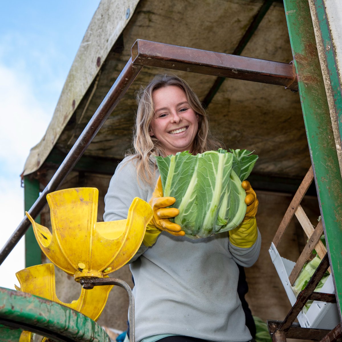 Happy #BackBritishFarmingDay! We're proud to support British farmers who work hard to produce safe, high-quality food for our tables. Thank you to all farmers for your dedication! #BritishFood #SustainableFood