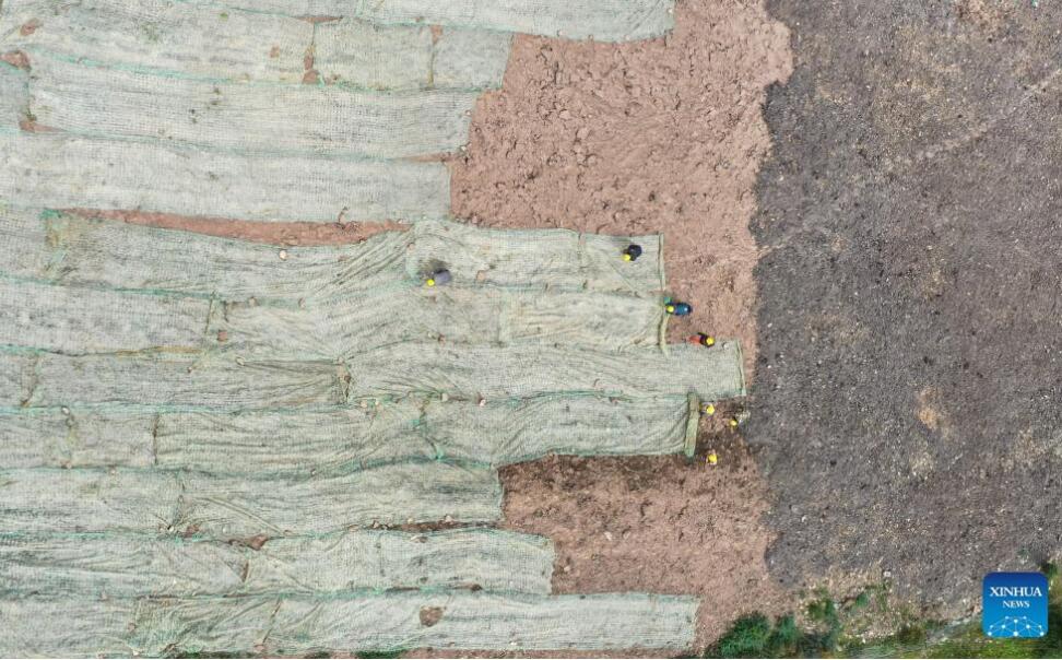 chinaorgcn's tweet image. Blankets made from coconut shells used for #grassland restoration in SW China&apos;s Sichuan china.org.cn/photos/2023-09… #coconutshell