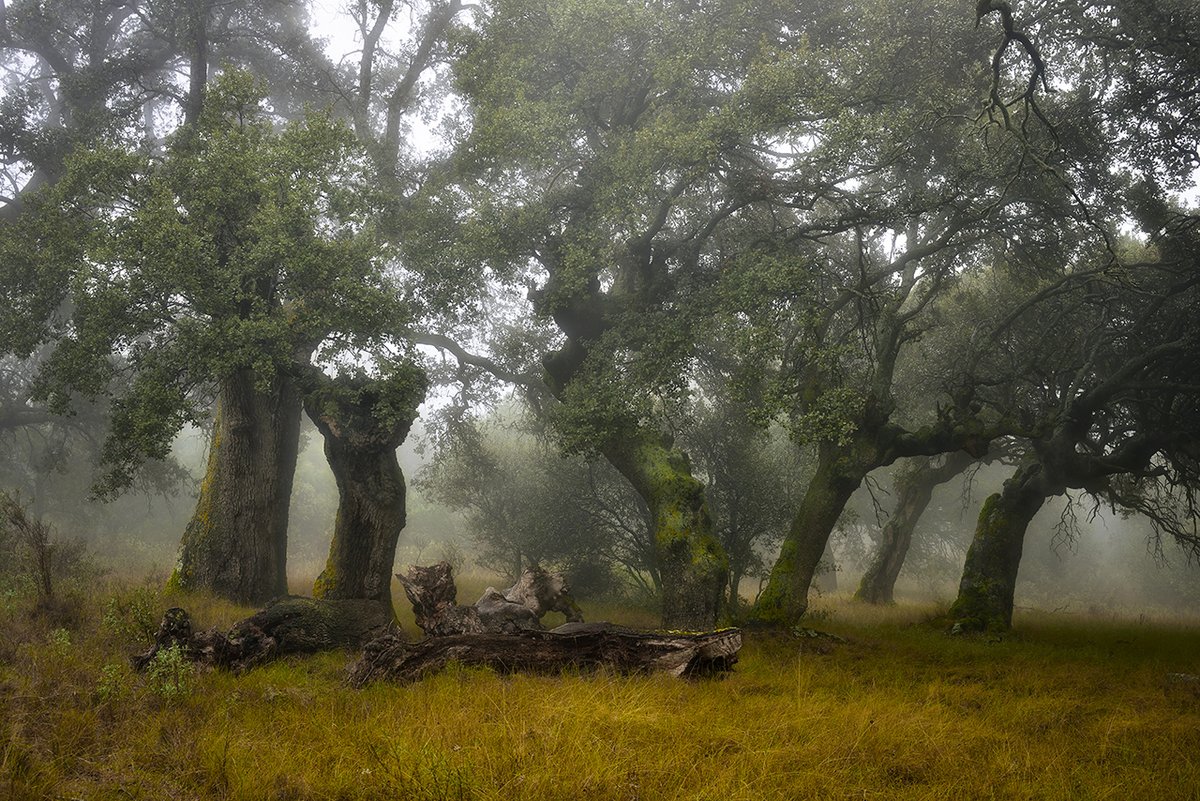 MAmbienteRioja's tweet photo. 👩‍🎓🏞️Gobierno de La Rioja aprueba la creación en @unirioja de la Cátedra de Paisajes, Biodiversidad y Recursos Hídricos. 
👉La cátedra estará formada por científicos que asesorarán al Ejecutivo riojano en las medidas y futura normativa.
https://t.co/l2x5LKBGVo https://t.co/lNkK7s9c35