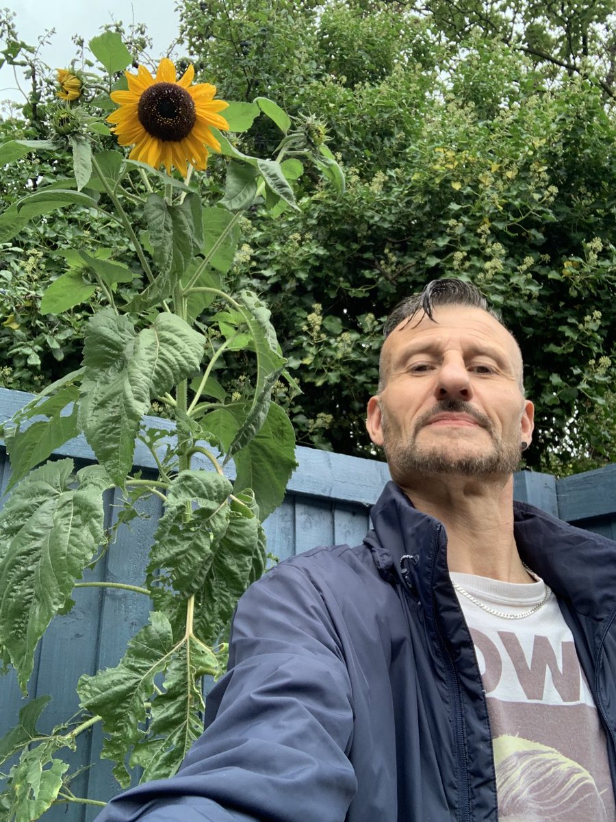 🐕 📻 🎼🌳 Gav La (not that one) tweet media