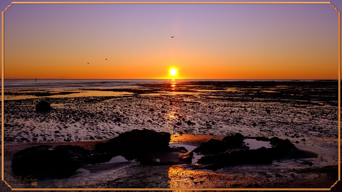 REPhotography59's tweet photo. 5:30am Sunrise In Wynyard, Tasmania.
#Tasmania #Sunrise #TableCape #Wynyard
©Rob Ellisdon Photography™
https://t.co/7DXiayA1ps https://t.co/ss4fXIctWm