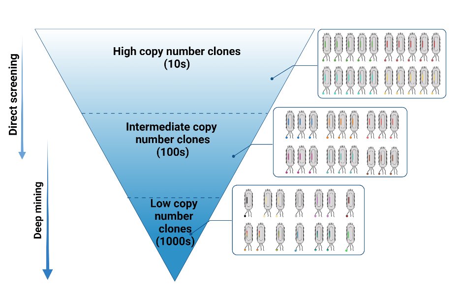 Center for Antibody Technologies tweet media
