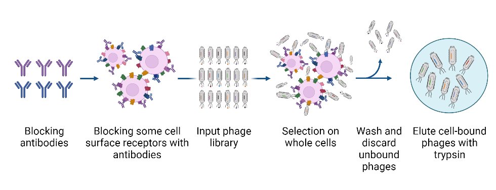 Center for Antibody Technologies tweet media