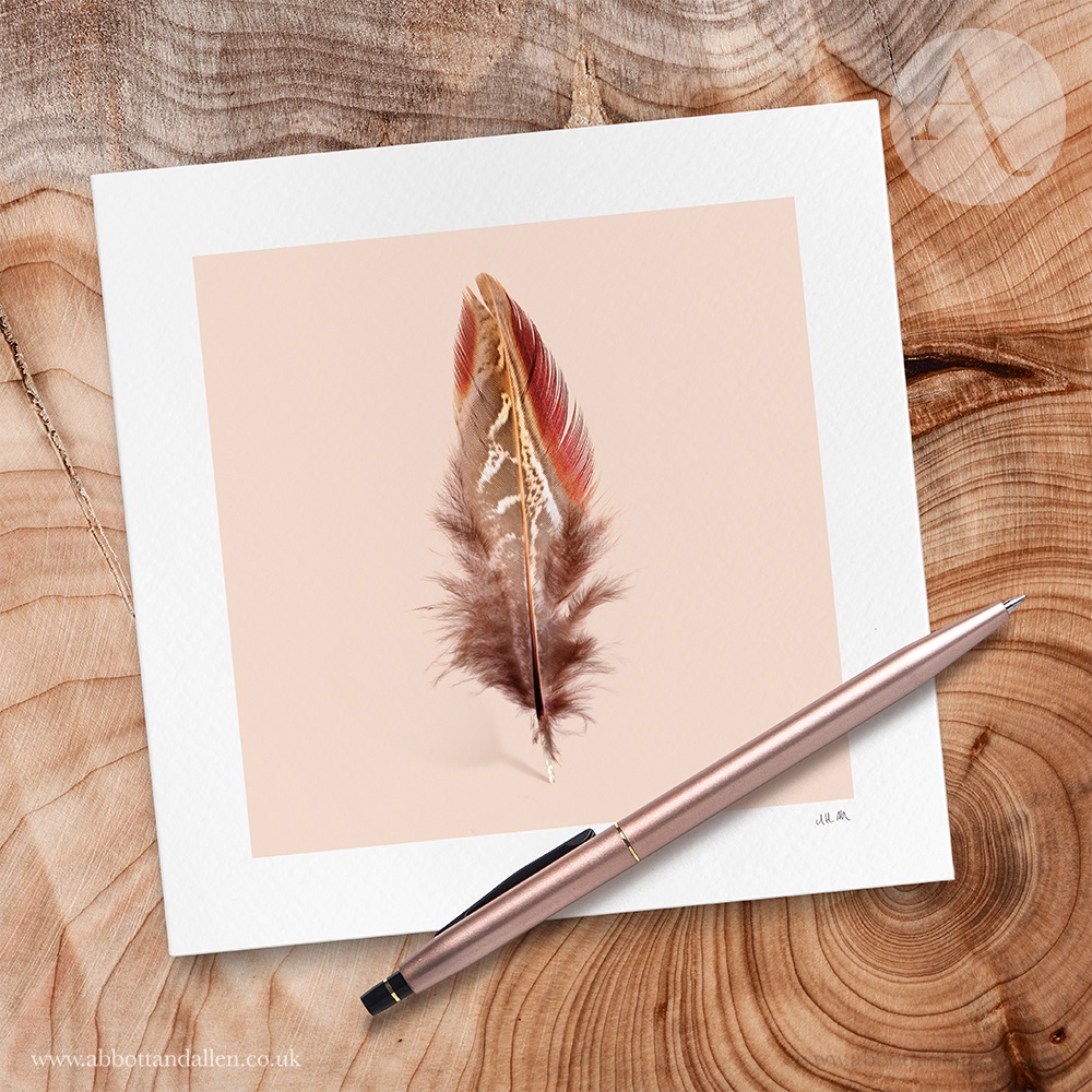 Explore our beautiful prints &amp; greeting cards at abbottandallen.co.uk

Enjoy 10% off your first order with code 'WELCOME10'

#artprints #feathers #flowers #photography #woodland #botanicalart #gardening #nature #Basingstoke #Hampshire #ukmakers #CraftBizParty