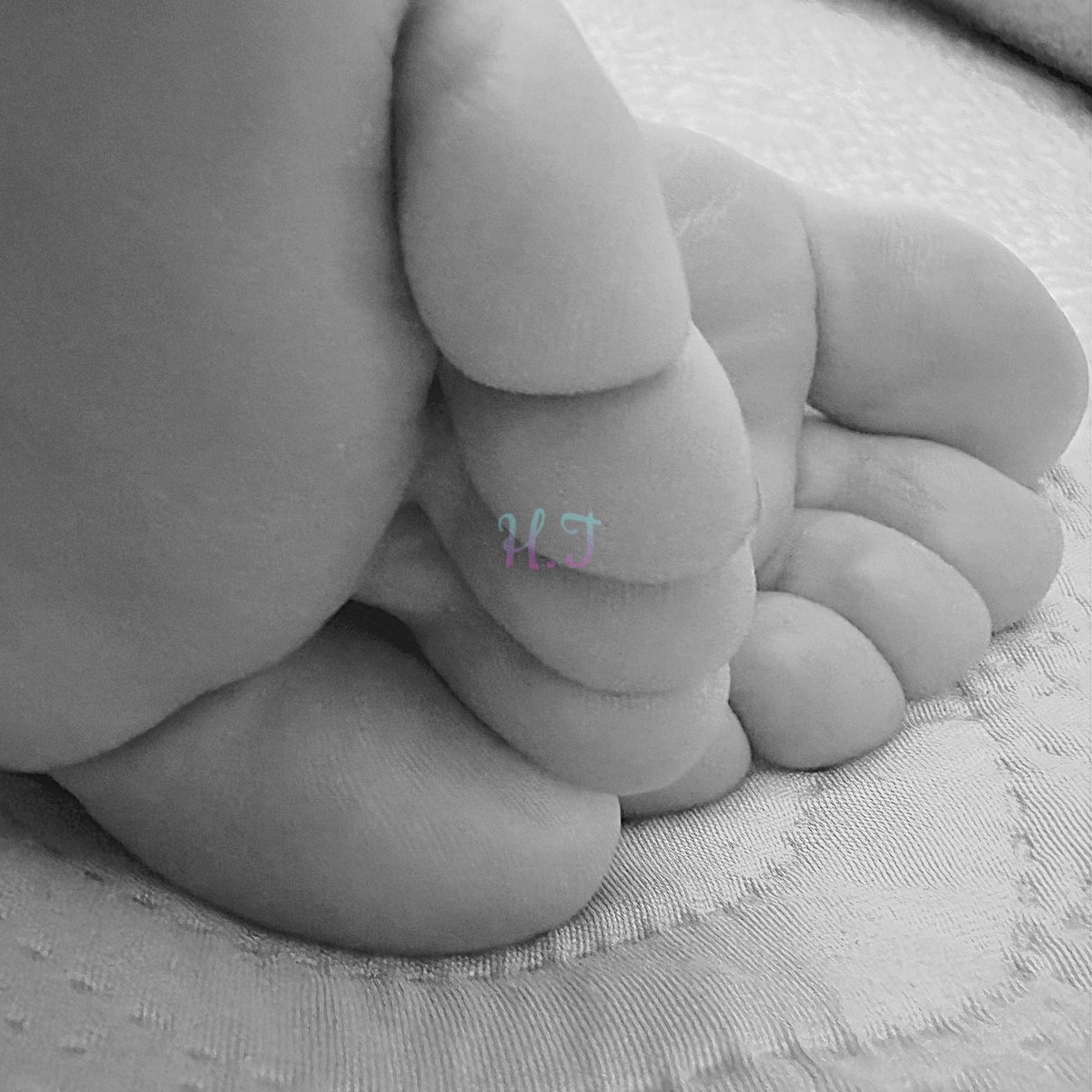 Thanatos_Queen's tweet photo. Il risveglio dei sensi ☀️
Buongiorno a te
Che stai baciando e sbavando lo schermo
#feet #toes #lick #sniff #worship
#mordi #bacia #assapora
#tuttetue Solo su Onlyfans e Loyalfans https://t.co/wFBgKxPQhX
