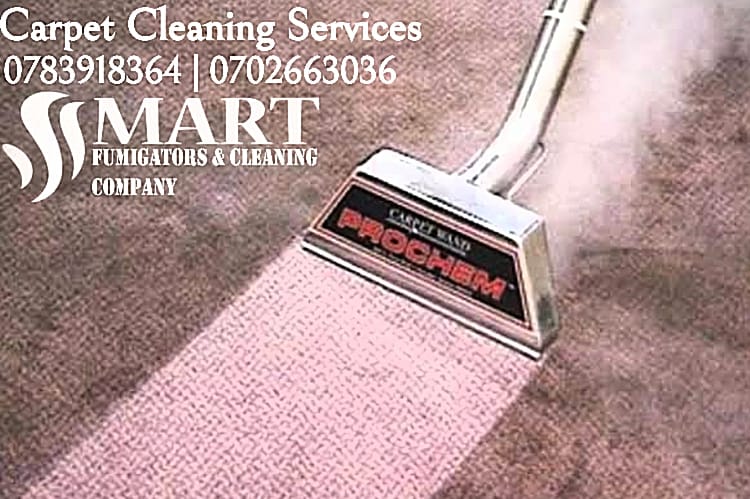 Have the #dustmites #dirt & #stain off your carpet professionally with us on 0783918364 | 0702663036. #cleaning #Carpet #Mattress #chairs