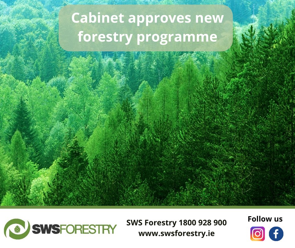 SWS Forestry tweet media