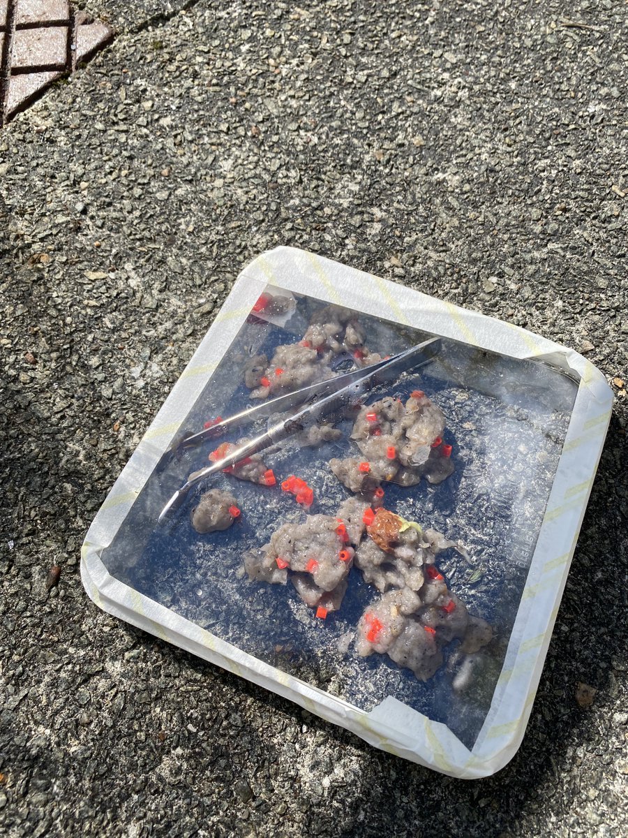 benjamin_cottey's tweet photo. After months of planning and discussions, we successfully collected plastics beads passed through a waste water treatment plant! From here we will extract DNA and protein from the beads to determine what microbial communities have attached to them. #Microplastics #Research https://t.co/pioCUfY52K