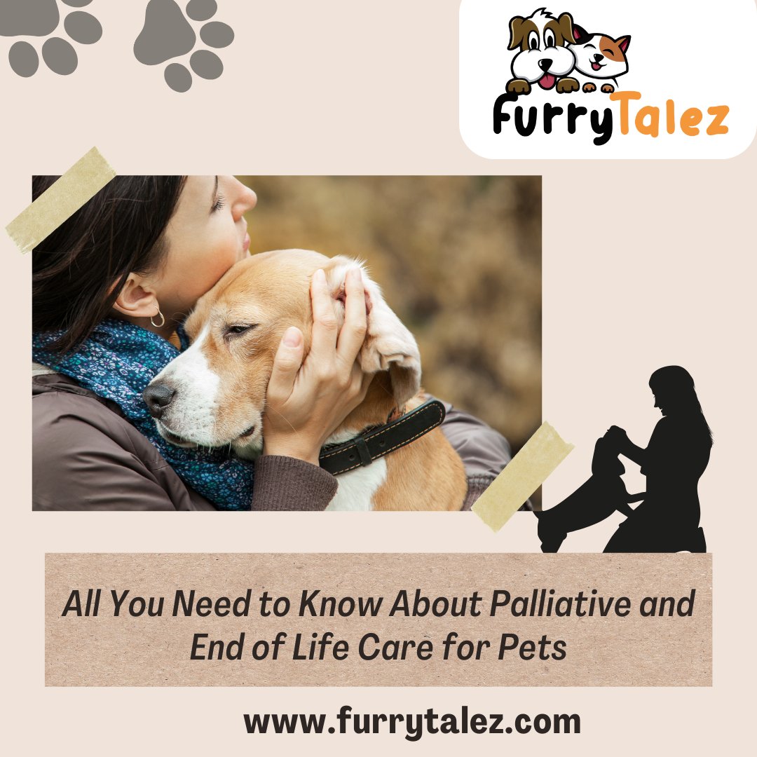 FurryTalez's tweet photo. 🐾 Discover the importance of #𝐏𝐚𝐥𝐥𝐢𝐚𝐭𝐢𝐯𝐞 and 𝐄𝐧𝐝 𝐨𝐟 𝐋𝐢𝐟𝐞 𝐂𝐚𝐫𝐞 for your beloved #𝐩𝐞𝐭𝐬. 🐶

✔️𝐂𝐥𝐢𝐜𝐤 𝐡𝐞𝐫𝐞 𝐟𝐨𝐫 𝐝𝐞𝐭𝐚𝐢𝐥𝐬: https://t.co/0stC6Or4YN

👉𝐅𝐨𝐥𝐥𝐨𝐰 𝐮𝐬: @FurryTalez 🔥 https://t.co/MjaoCRF3QR