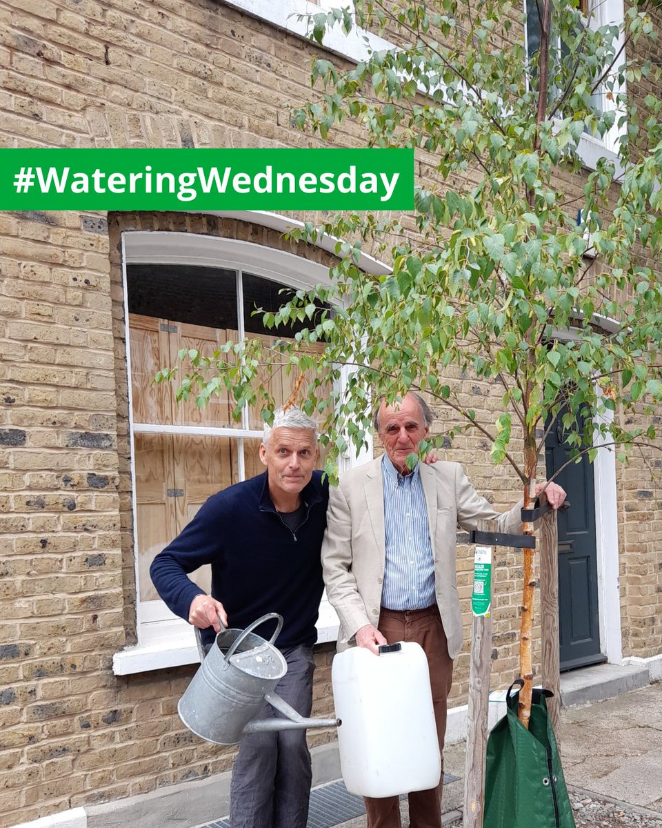 📢We're putting the call out for residents to give a helping hand to their local young trees

Urban spaces are tough environments for new street trees - so let's make sure they're well watered 🌳🚿

Grab a bottle, watering can or hose, and take part in #WateringWednesday