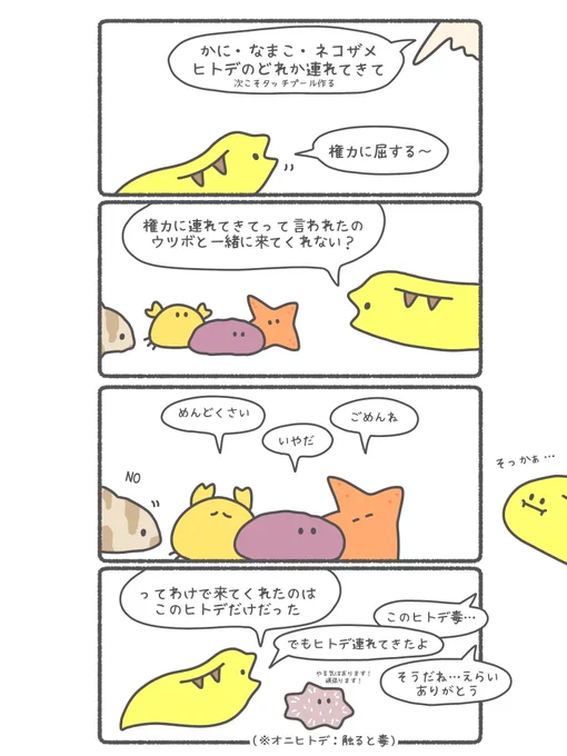 ウツボのタッチプール作り(おまけ) 