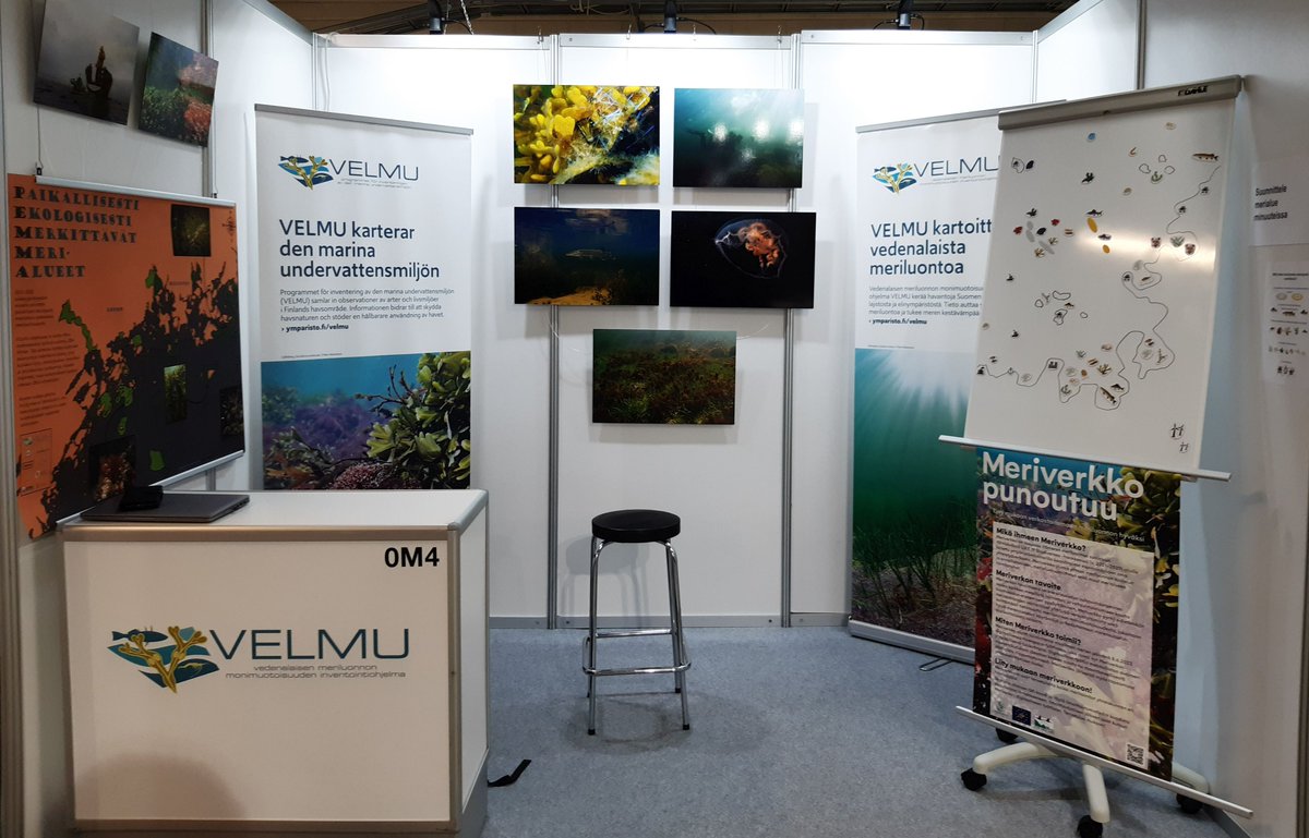 Velmun kuntayhteistyö esillä Kuntamarkkinoilla 13.-14.9. (Kuntatalo, Hki). Ständi 0M4 ja tietoisku to 14.9. 9:30-9:50 salissa A3.3.
#VELMUohjelma
#Biodiversea
#kuntamarkkinat