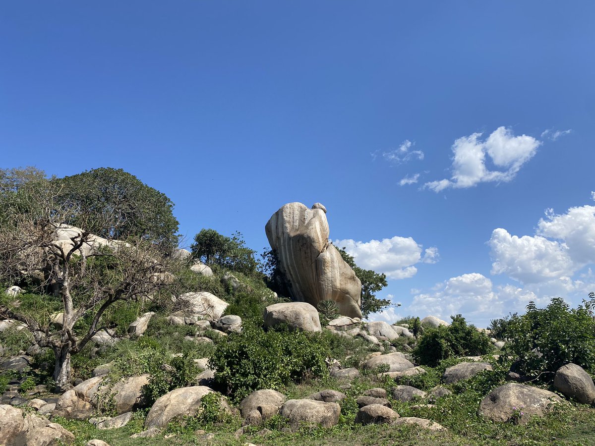 EddieMors1's tweet photo. Calling all explorers! Experience the joy of discovering a new destination. #TembeaKenya with @SkywardExpress and make unforgettable memories in Migori. 🌄 #FlySkyward #AdventureAwaits #FlyToMigori https://t.co/yfco6kaBaW