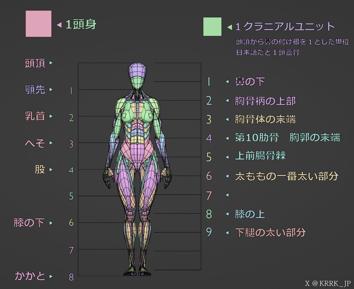 臨床応用のための画像解剖学 バトラー ミッチェル ヒアリー著 512bK3AwBZL._AC_SY200_QL15_.jpg