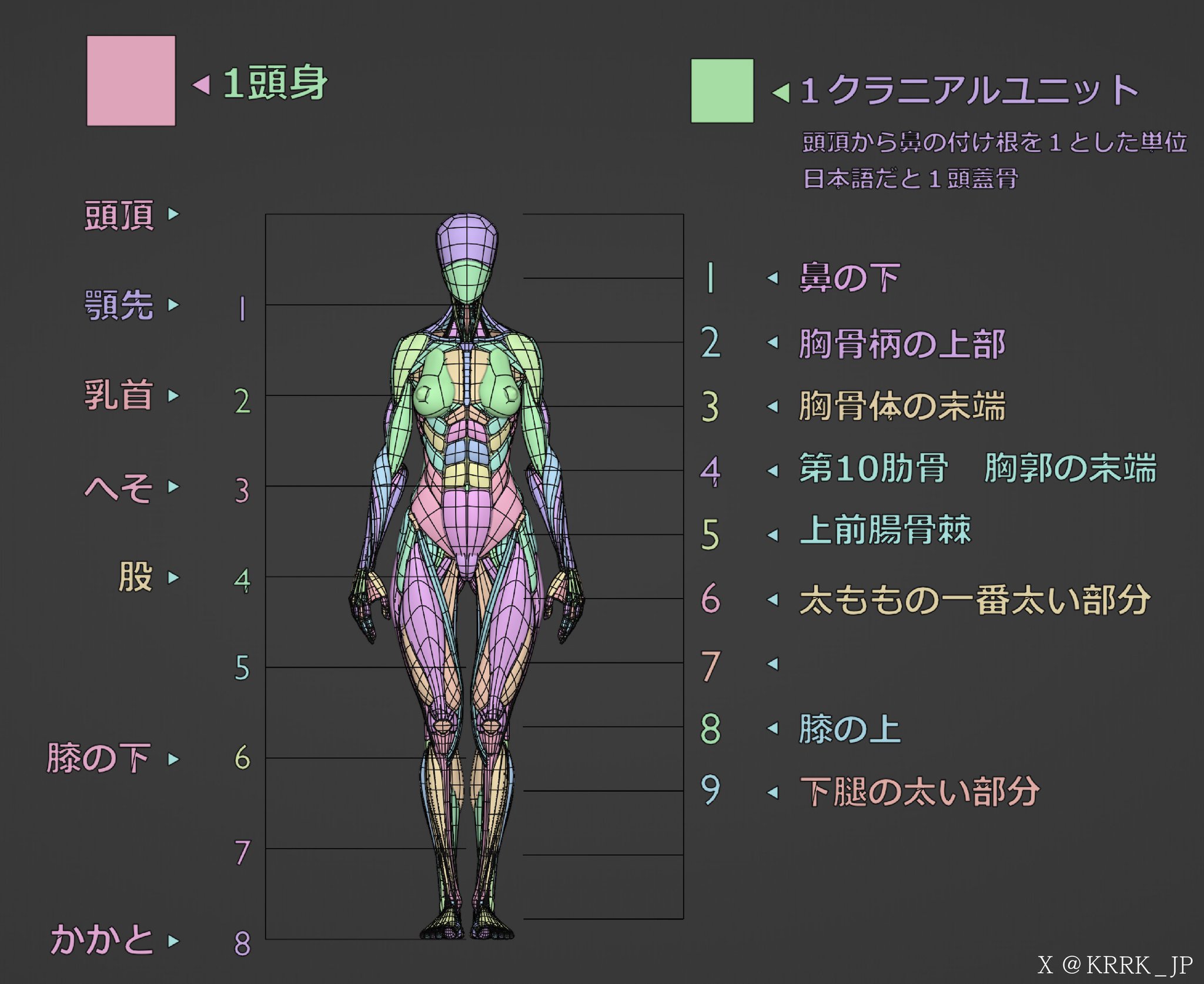 ケロロケ CG Anatomy on X: 