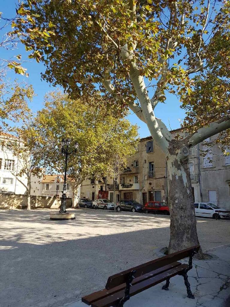 RPeacefullHouse's tweet photo. Discover family-friendly townhome rentals in Beziers! Ideal for a memorable vacation with kids. Book now at #FindAmericanRentals platform. #BeziersRentals #FamilyVacation #KidFriendlyTownhomes https://t.co/WwaCq9qU4l https://t.co/HKa5M61ViJ