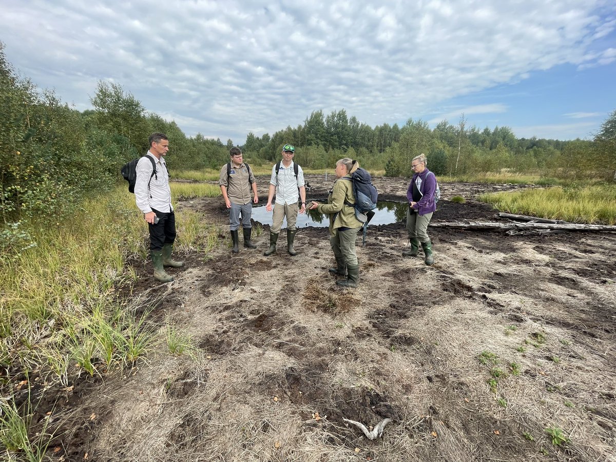 LIFEforMIRES's tweet photo. Colleagues from @LifeQuakingBogs at our #LIFEproject sites today! 
Project #networking is actually one of the highly beneficial activities within the @LIFEprogramme 👍 https://t.co/ku3Xi03ysO