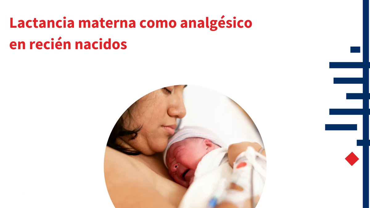 ¿Qué eficacia tiene la leche materna como analgésico en recién nacidos sometidos a procedimientos dolorosos?

[Dentro hilo 🧵]
