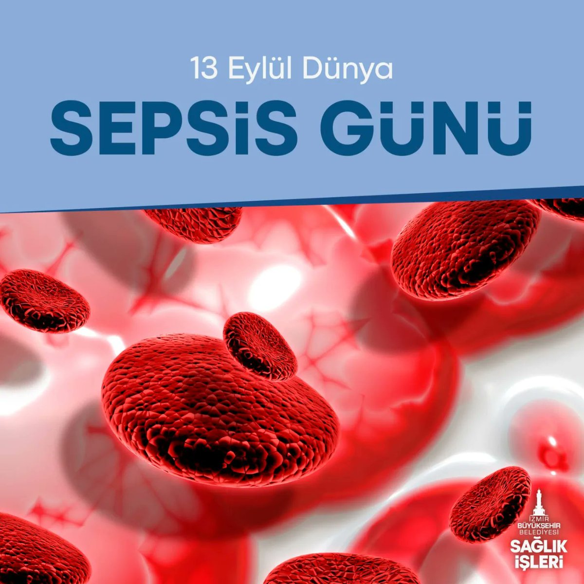ibbsaglikisleri's tweet photo. #Sepsis hayatı tehdit eden ciddi bir durumdur ancak erken tanı ve doğru tedaviyle önlenebilir. Bugün #DünyaSepsisGünü, sevdiklerimizi korumak için bilgi sahibi olalım ve farkındalığı artıralım! Sepsisi birlikte yenelim.

#SepsisGünü
#ErkenTeşhis
#Sağlık 

@tuncsoyer
@izmirbld https://t.co/Jhxvlc9FeJ