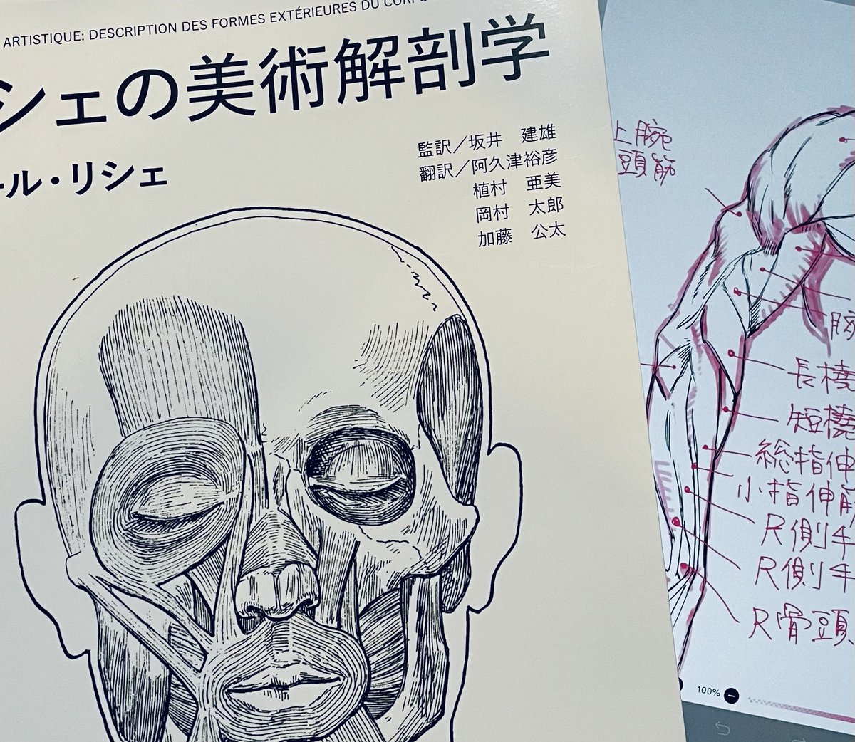 加藤先生がお勧めされてた「リシェの美術解剖学」とても美しく見てるだけでも楽しめます。
本に書かれてる使用方法、模写で学び中🐰 