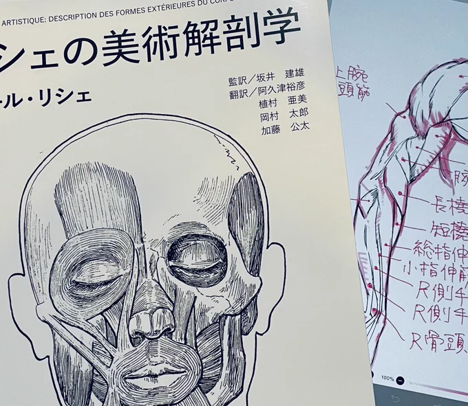 加藤先生がお勧めされてた「リシェの美術解剖学」とても美しく見てるだけでも楽しめます。
本に書かれてる使用方法、模写で学び中🐰 
