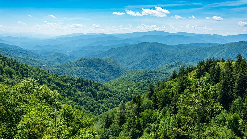 ingdemontes's tweet photo. 🌳 Hablando del #monte, de su gestión y de su aprovechamiento

"Solemos mirar los bosques como un elemento ornamental, cuando sería mejor una intervención humana razonada y respetuosa" 

▶️ @ChemaLanga charla con Inés González, vicedecana del @ingdemontes @GalloNoCesaRNE https://t.co/j1pUYuo3HZ