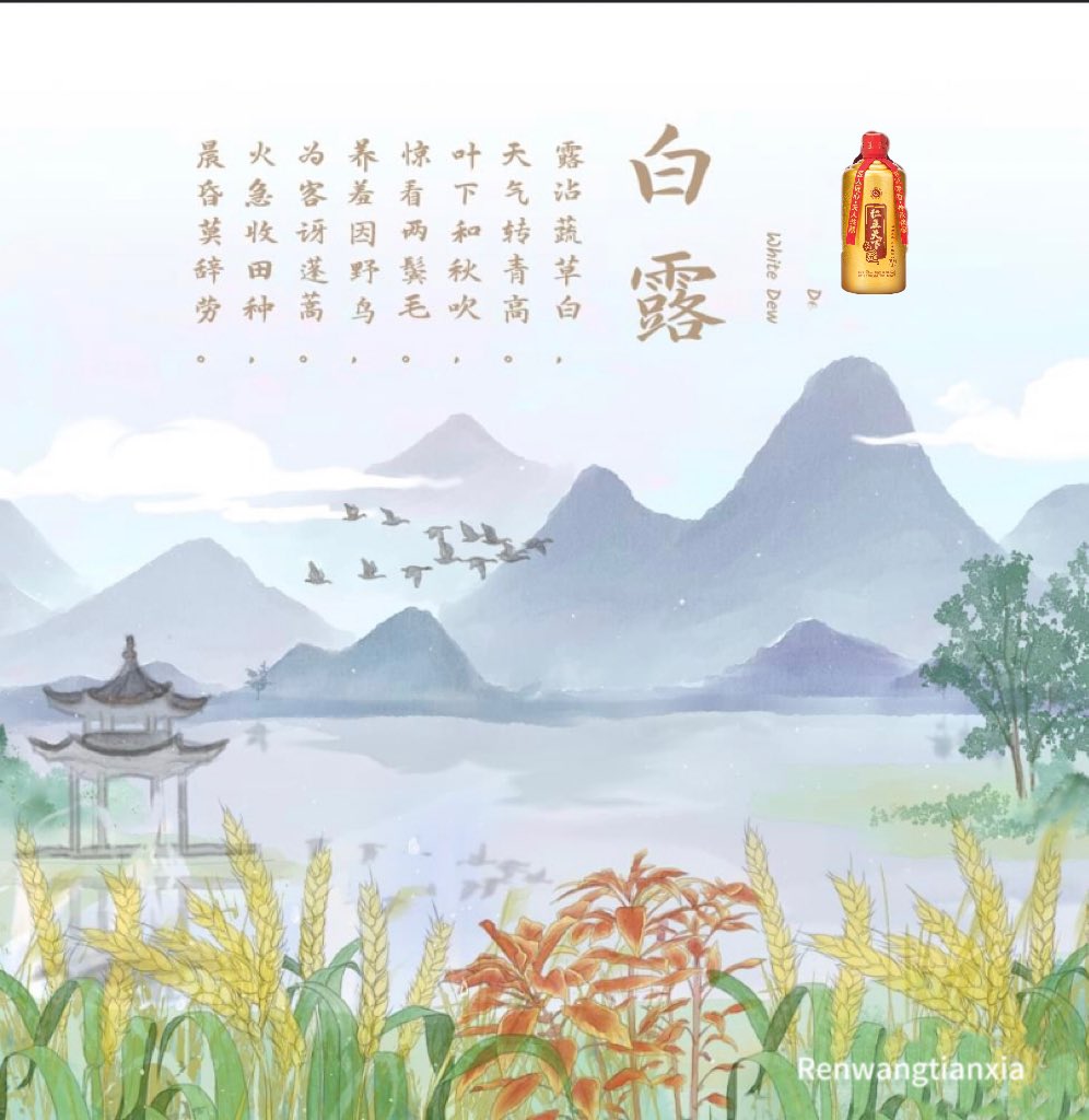 As the 15th solar term of the year, White Dew indicates a cooler temperature and dew on the grass and trees at night. #renwangtianxia production this year also goes to the final phase. As the sorghum ripens, a new cycle of distillation will begin soon. #MoreSolarTerms #China