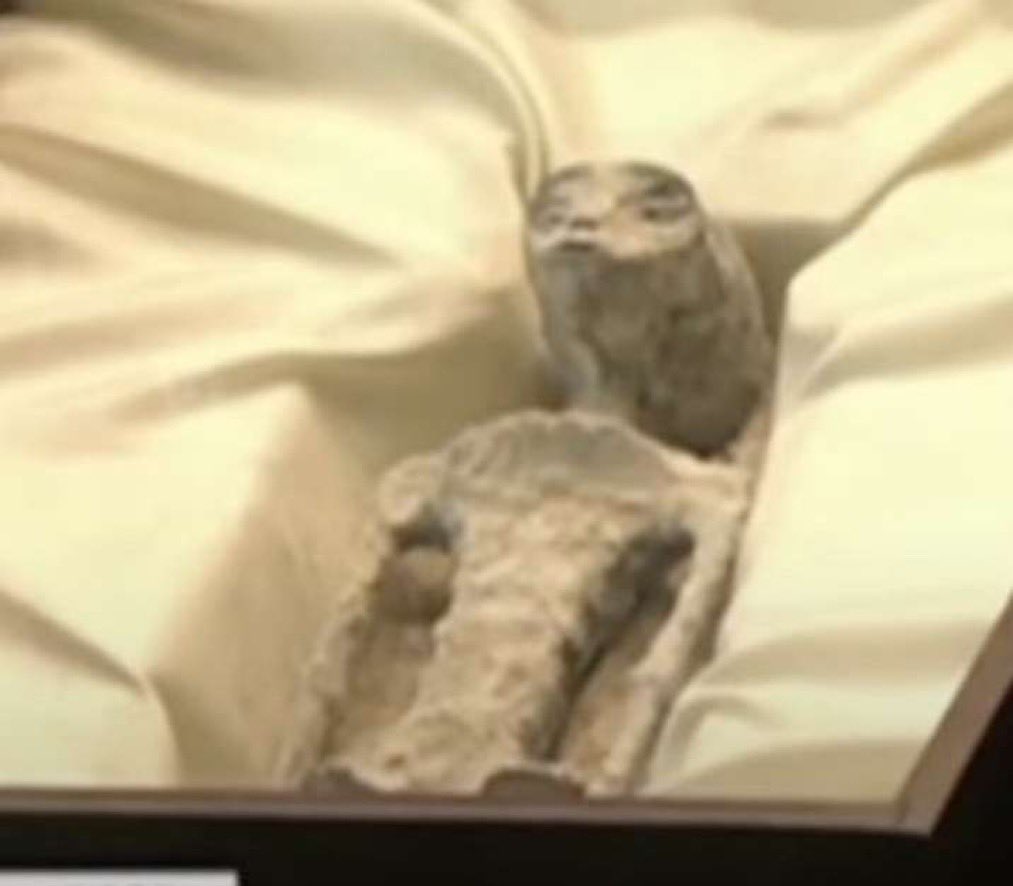 forestwithout's tweet image. The Mexican government has released pictures of what happens to a human after 2 years of playing a popular game “league of legends”.

It's not looking good.