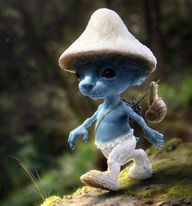 he visto mas a este tio esta semana q a mi madre