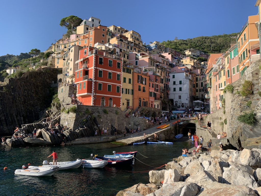 Ari Odzer tweet media