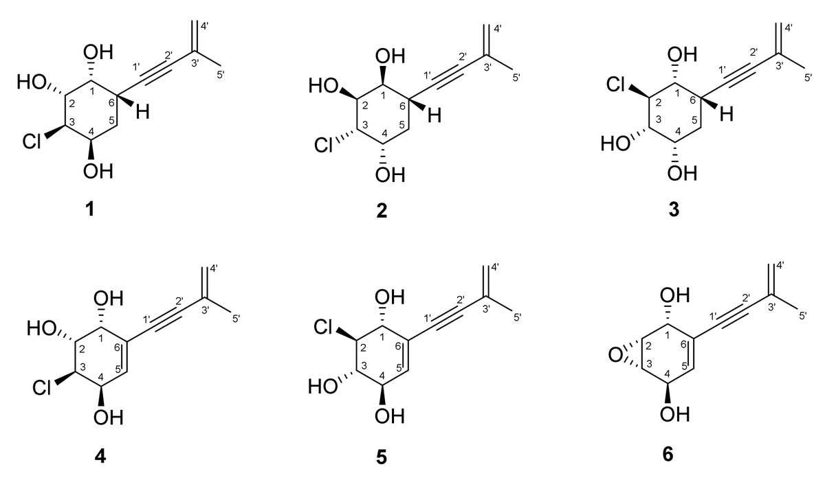 JoF_MDPI's tweet photo. ๐งช๐ In this study, the cytotoxic and #antimicrobial activitiy of six new #polyketides #acrucipentyns AโF (1-6) from the alga-derived #fungus #๐๐ด๐ต๐ฆ๐ณ๐ฐ๐ฎ๐บ๐ค๐ฆ๐ด ๐ค๐ณ๐ถ๐ค๐ช๐ข๐ต๐ถ๐ด were examined.
๐ข๐ Read more about this article here:
https://t.co/xzHNS0GZad https://t.co/mKryoiEDdV