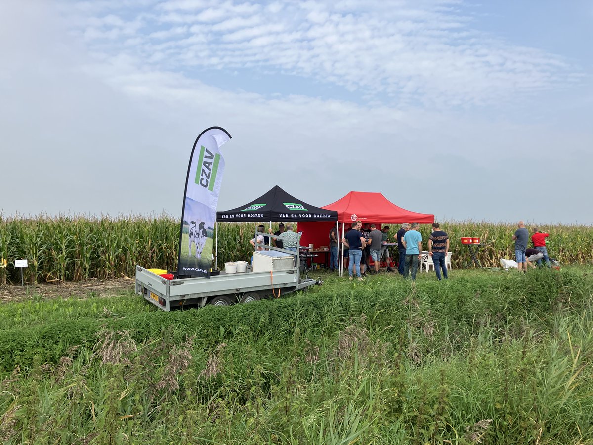 12.09.2023: Ruwvoerbijeenkomst Fijnaart📍
Tijdens deze bijeenkomst was er veel aandacht voor #voederbieten, #sorghum, #luzerne en #klaver☘️
Wil jij ook een #kwaliteitsbepaling van je eigen #maïs door <a href="/LGseedsNL/">LG seeds Nederland</a>? Kom vanmiddag naar de laatste Ruwvoerbijeenkomst in Colijnsplaat!👋