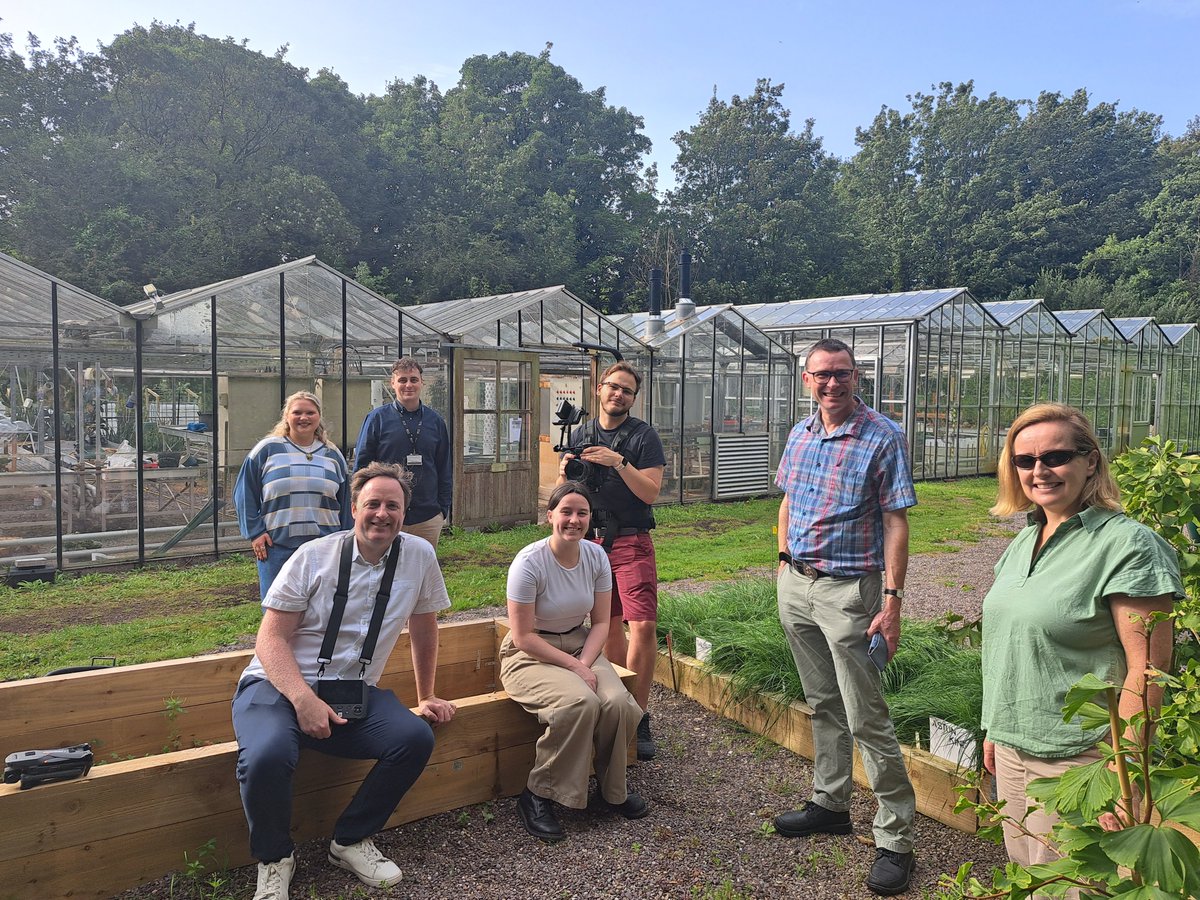 BRAINWAVES Project tweet media