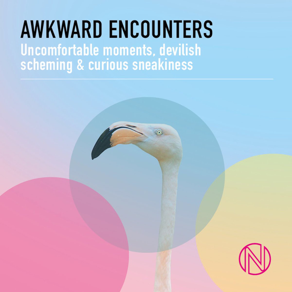 Rory Laws tweet media