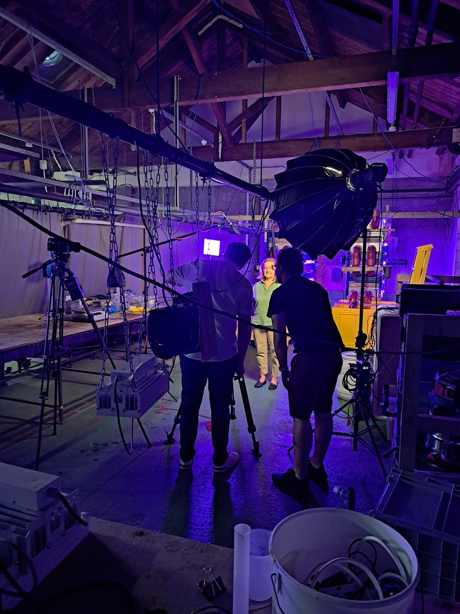 BRAINWAVES Project tweet media