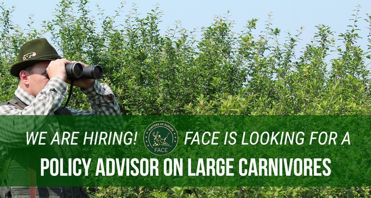📣 We're Hiring! 🇪🇺
Join FACE as a Policy Advisor on #LargeCarnivores 🐺

☑️ Location: Brussels 🇧🇪
☑️ 5+ years experience in European affairs
☑️ Fluent in English, other languages including French/German are a plus

📩 Apply now: face.eu/2023/09/job-ad… 
🗓 Deadline: 09 October