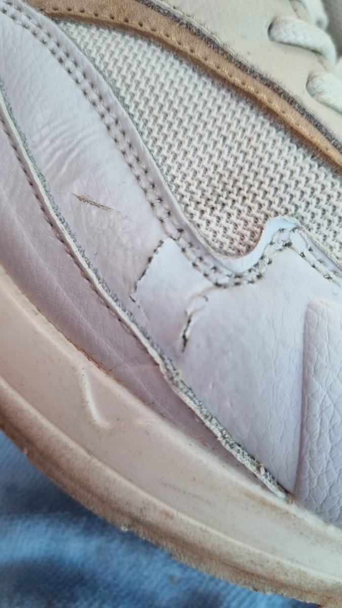 Dutch Travelling Couple tweet media