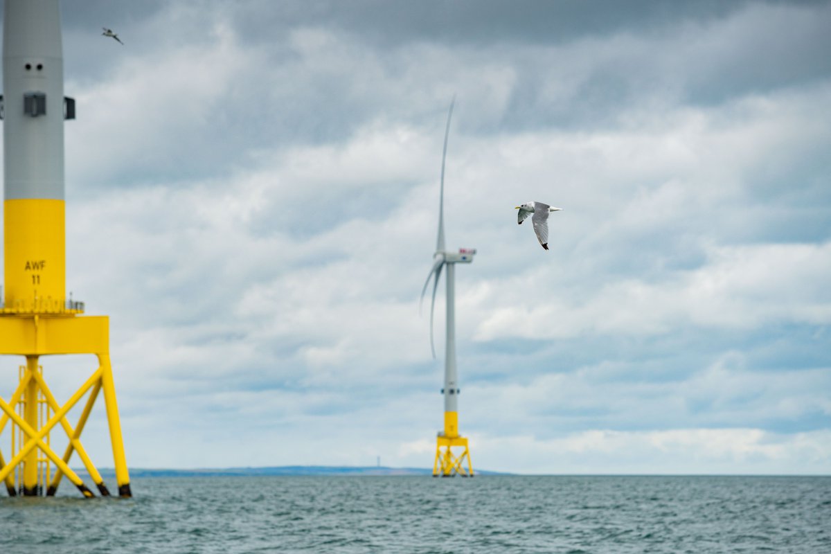 As part of a unique collaboration with Spoor and the British Trust for Ornithology @_BTO, we've launched an expanded trial of Spoor AI technology at Aberdeen Bay Offshore Wind Farm: bit.ly/3rfIA9h. #CWW2023 #offshorewind