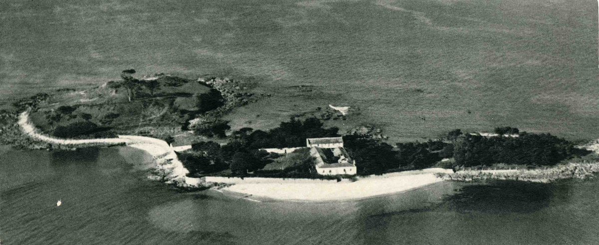 Manuel Gago tweet media