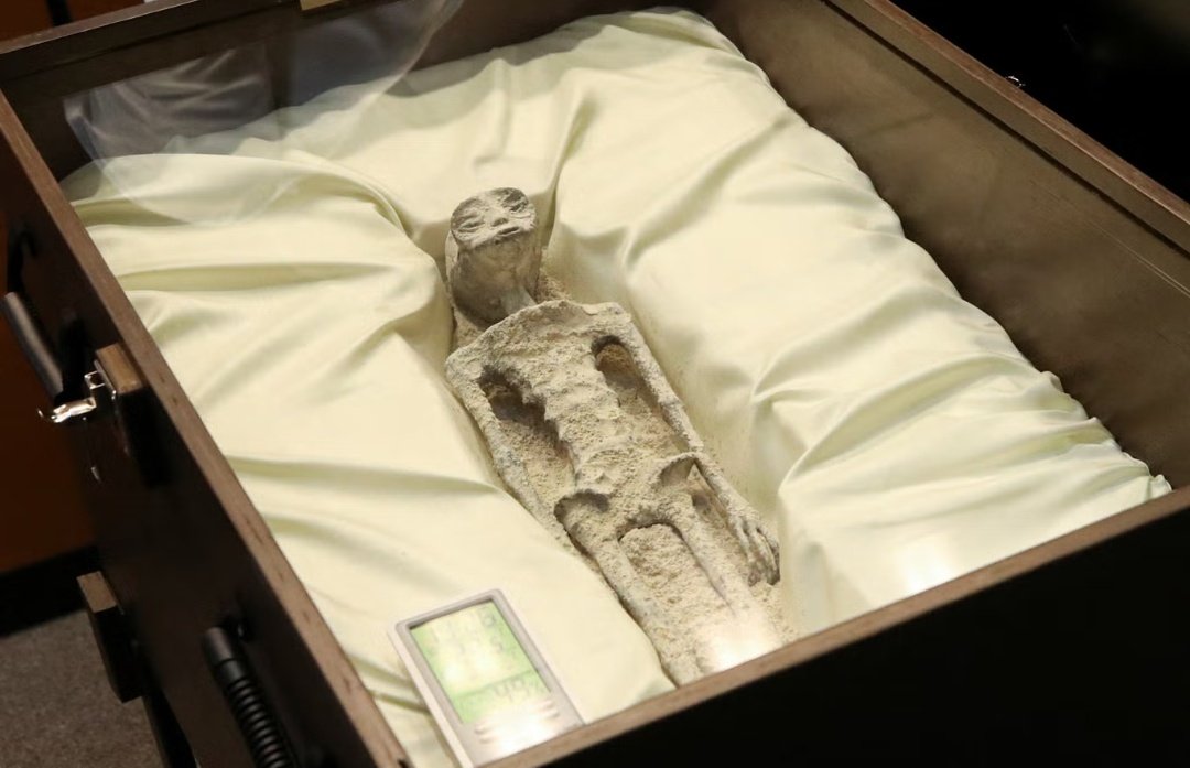 IndianTechGuide's tweet image. 1000 year old alien corpses shown to Mexican congress as UFO expert are forced to testify.