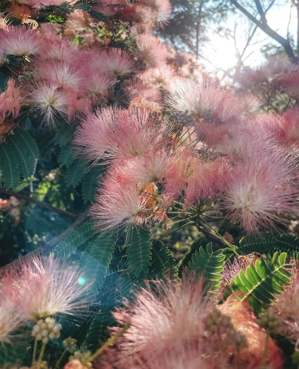 DoodleArt (@doodleartalice) on Twitter photo 