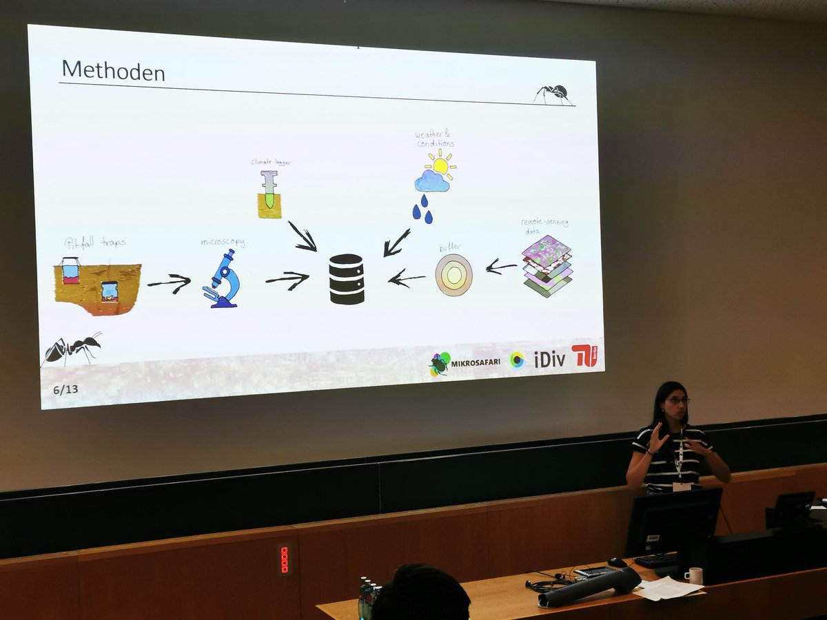 Great talk by my master student Hannah Prawitz on some preliminary results from our Mikrosafari citizen science project at #gfoe23 on the effects of urbanisation and environmental change on soil arthropods #CitizenScience @Carlsbergfondet @idiv @UFZ_de