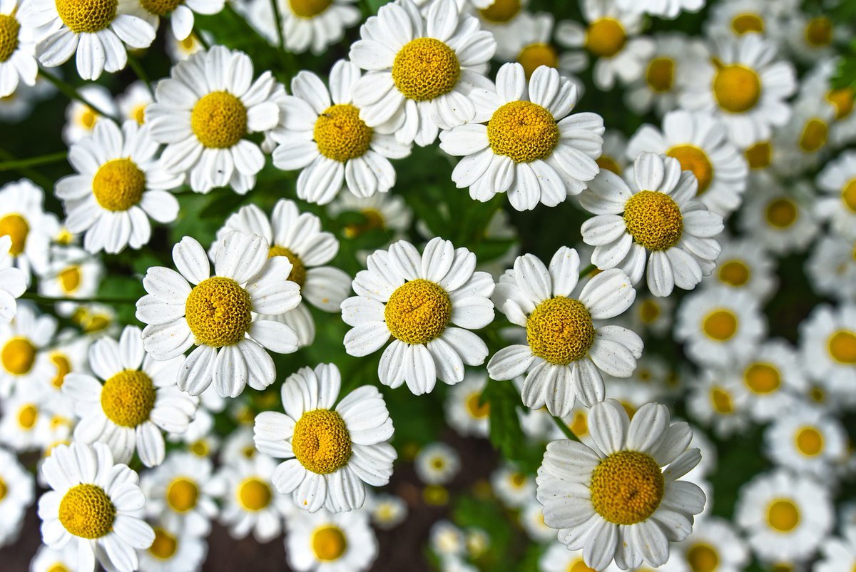 LiveLifeTricks's tweet photo. How to deal with depression by using herbs
https://t.co/cjMkMY4bBq
#wednesday #wednesdaythought #WednesdayMotivation #WednesdayClub #Wednesdayvibe #Wednesdaywit #Wednesdayinfidelity #Promote #promotepage https://t.co/Uqf9sL8Mct