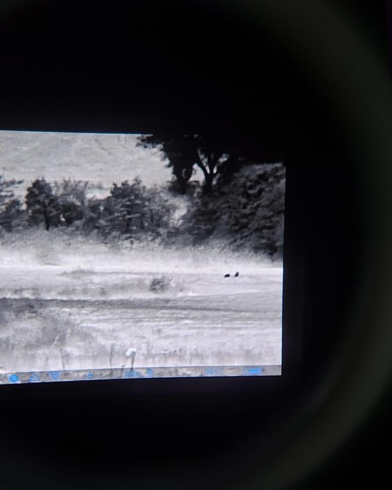 Aggiornamenti sui cuccioli di #Amarena

m.facebook.com/story.php?stor…