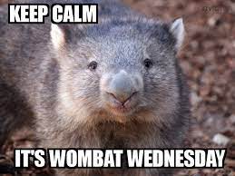 WombatCoinErc's tweet photo. Launch Will Be At 5-7PM Est Make Sure To Not Fomo Any Fake CAs, and Happy Wombat Wednesday Lets Get It! 🌏💚  https://t.co/0FFBZcpdQv https://t.co/DbjVwVtysf